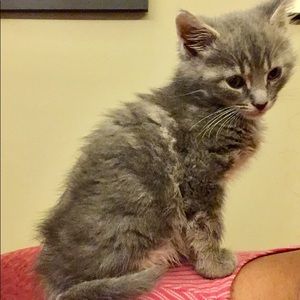 Meet your Posher, Cathy